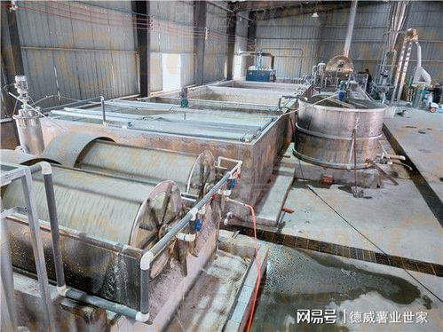 红薯淀粉加工全流程与关键参数解析 从设备选型到出粉率优化